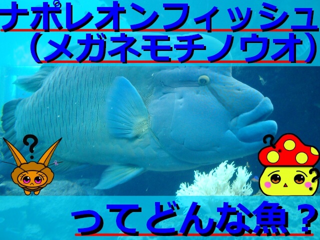 Thumbnail of post image 082